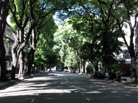 Belgrano